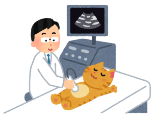 病気の早期発見のための定期検診