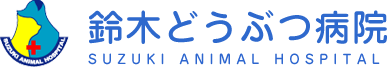 鹿沼市の動物病院鈴木どうぶつ病院